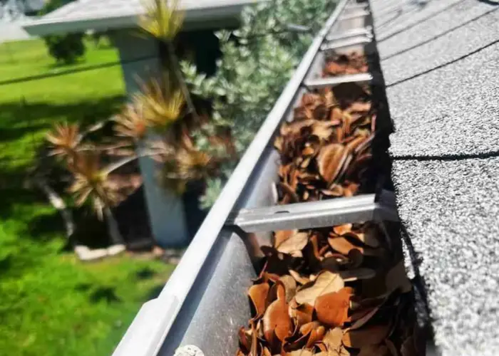 Gutter Cleaning Kenneth City FL home page